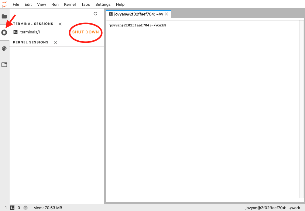 Shutting downa  Jupyter Terminal